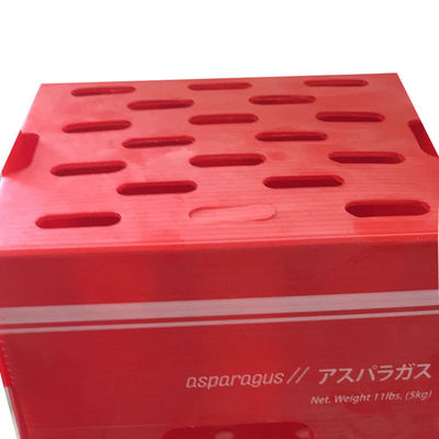 Polypropylene Vegetable Packing Box PP Corrugated Plastic Box Customized Recyclable