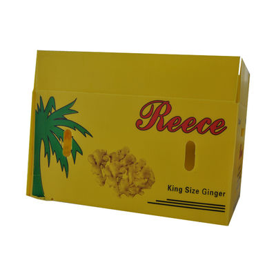 PP Corrugated Plastic Box Coroplast Fruit Packaging Box Customized Recyclable Foldable