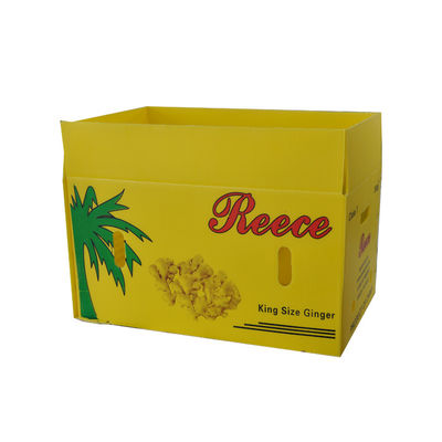 PP Corrugated Plastic Box Coroplast Fruit Packaging Box Customized Recyclable Foldable
