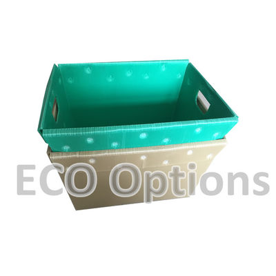Recycling PP Corrugated Plastic Box Coroplast Packaging Box Customized Foldable ECO