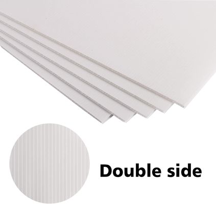 Unleash the Potential of PP Coroplast Sheet in Your Packaging and Advertising