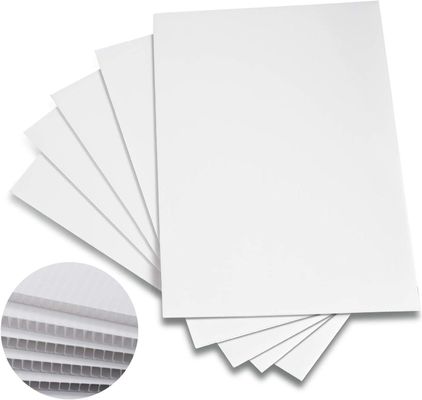 Unleash the Potential of PP Coroplast Sheet in Your Packaging and Advertising