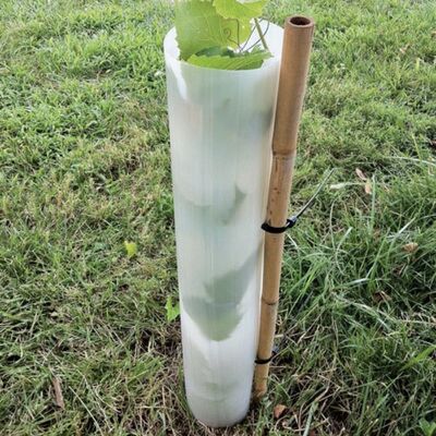 PP plastic vine guard – Durable PP plant protection tube designed to shield young vines from wind, pests, and physical damage while promoting healthy growth in agricultural and forestry applications.