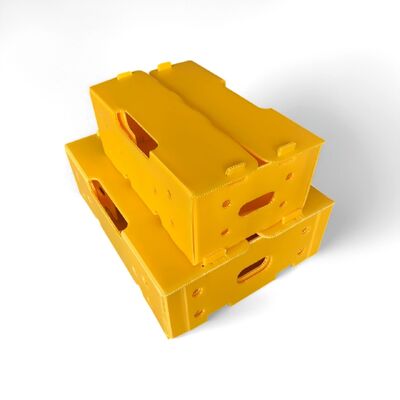 Corrugated Plastic Box is made from durable polypropylene (PP) corrugated sheet. It is lightweight, waterproof, reusable, impact-resistant, and ideal for packaging and storage