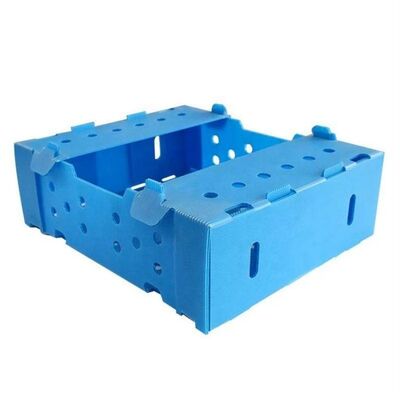 Corrugated Plastic Box is made from durable polypropylene (PP) corrugated sheet. It is lightweight, waterproof, reusable, impact-resistant, and ideal for packaging and storage