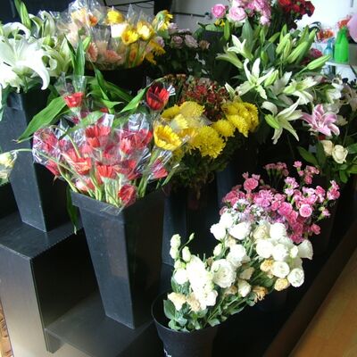PP Display Flower Stand Lightweight, foldable, waterproof, and corrosion-resistant. Designed for easy storage, transportation, and long-lasting use