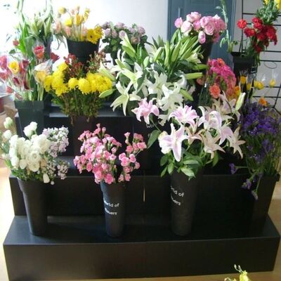 PP Display Flower Stand Lightweight, foldable, waterproof, and corrosion-resistant. Designed for easy storage, transportation, and long-lasting use