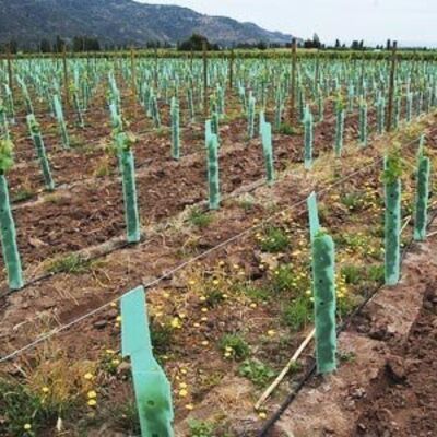 PP Tree Guard is lightweight, durable, waterproof, and easy to install. It protects young trees from wind, animals, and damage, with customizable sizes, colors, thicknesses, and designs.