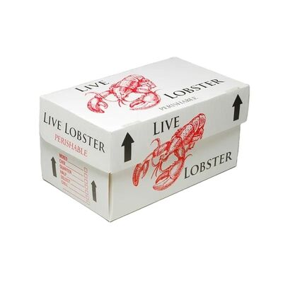 PP corrugated plastic boxes for cold chain transport—lightweight, waterproof, durable, reusable, and built to protect products during handling and delivery.