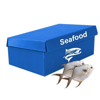 PP corrugated plastic boxes for cold chain transport—lightweight, waterproof, durable, reusable, and built to protect products during handling and delivery.