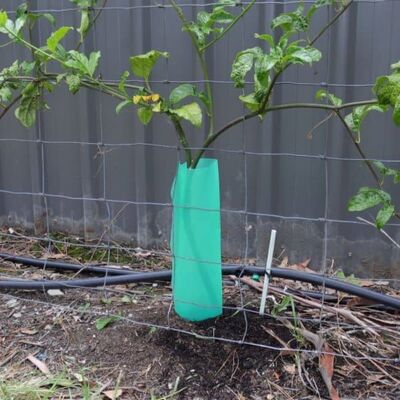 Corflute Tree Guard is a durable outdoor protection solution designed to protect young grapevines from animals, wind, and other environmental factors.