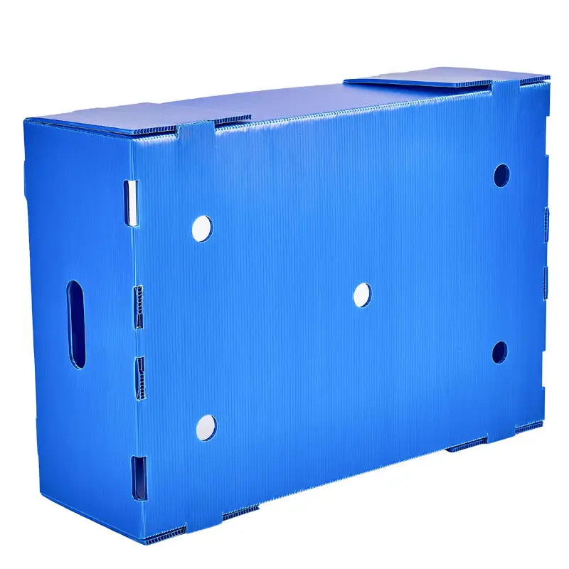 Corrugated Plastic Box Polypropylene Fruit Packing Box Storage